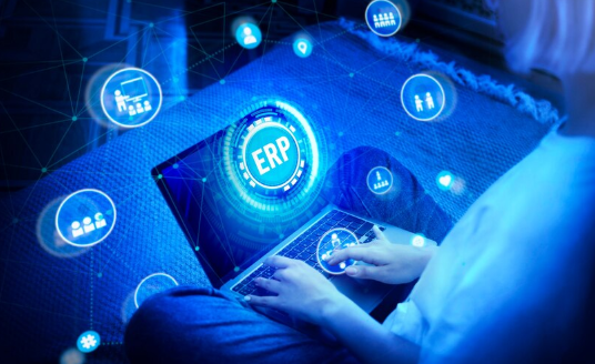 vendor ERP
